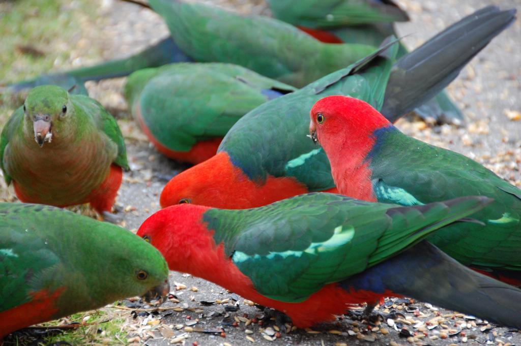 Eildon Pondage Holiday Park Luaran gambar
